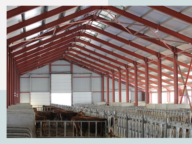 Строительство коровников в Мичуринске