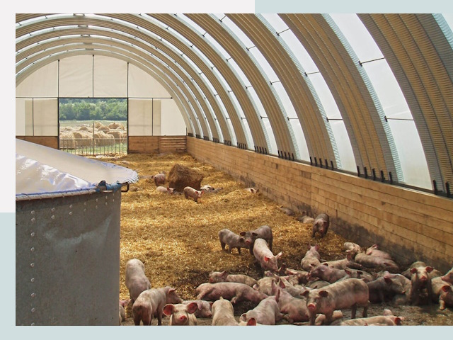 Строительство свинарников в Мичуринске