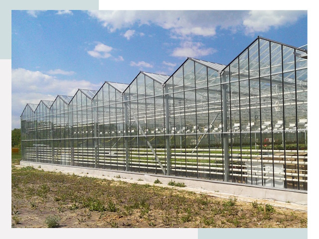 Строительство теплиц в Мичуринск от 621 руб. за м²
