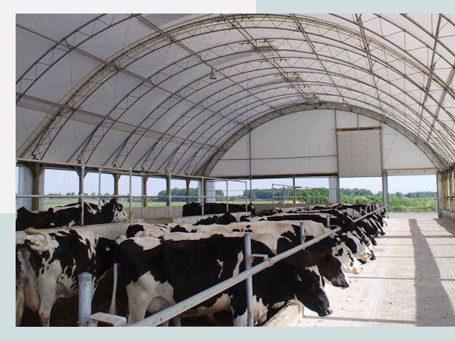 Тентовые коровники в Мичуринске